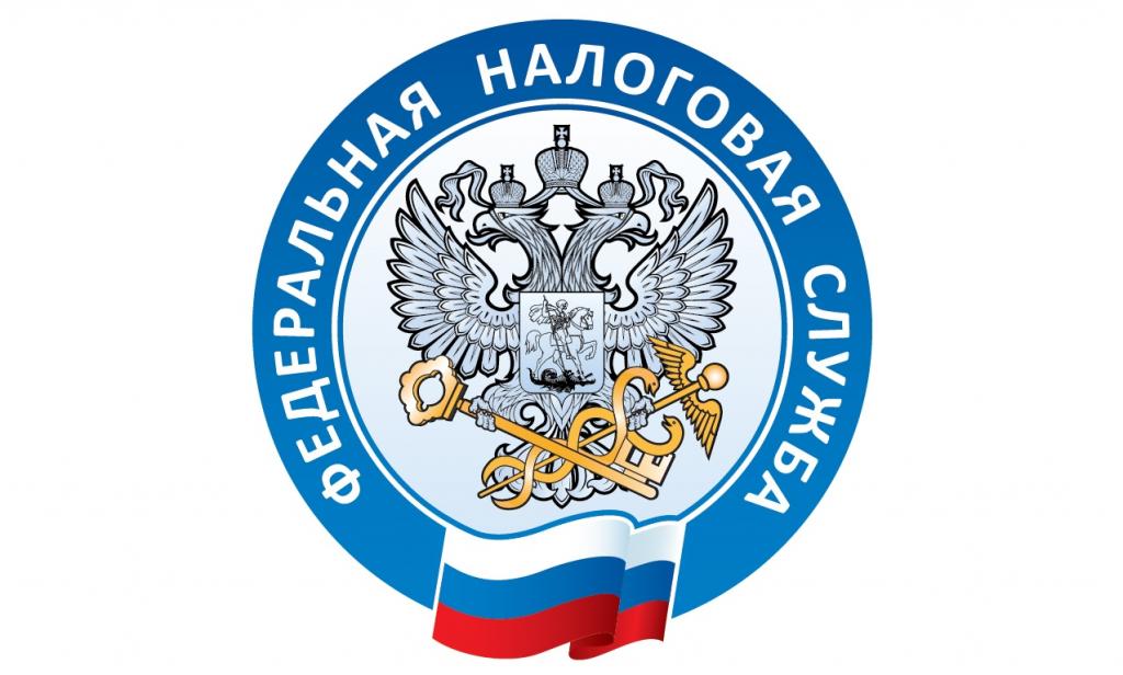ИНН для получения услуг в ФНС